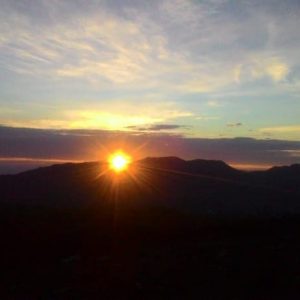 51936796_398168474252187_277257275876311040_n