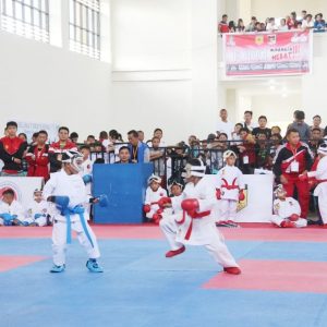 56911260_405145903601577_7548828798553161728_n